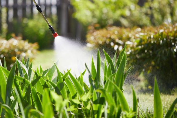 24/7 Emergency Mosquito Control experts in Blue Bell, PA
