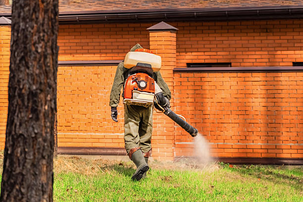 Top rated local Mosquito Control specialists in Blue Bell, PA